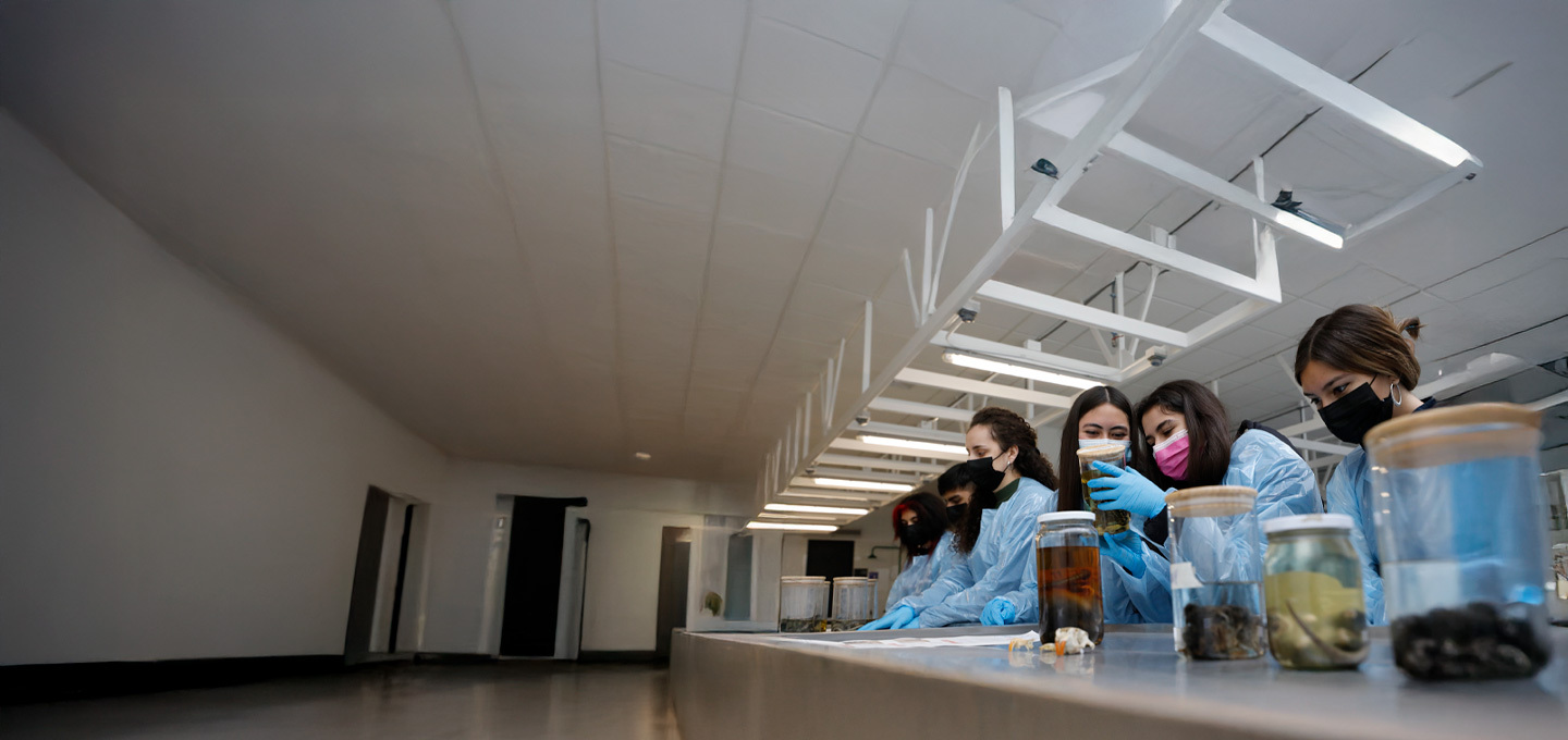 Escolares en laboratorio de Ciencias Biológicas.