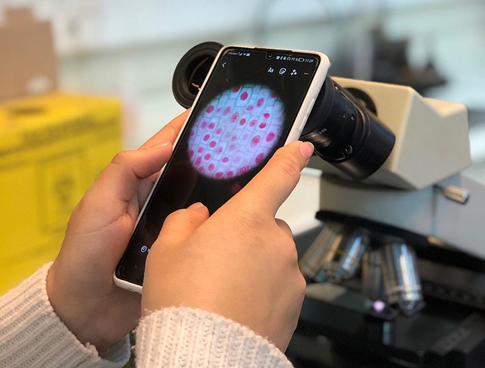 Escolar observa en el microscopio a través de su celular.