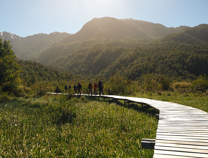 Investigadores y estudiantes caminando sobre la pasarela de la Estación Patagonia UC.