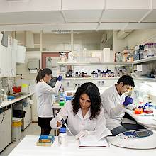 Estudiantes trabajando en un laboratorio