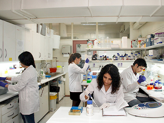 Estudiantes trabajando en un laboratorio