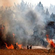 Incendios forestales en Ñuble y Biobío