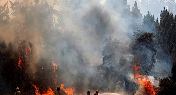 Incendios forestales en Ñuble y Biobío