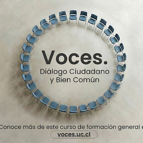 gráfica del curso Voces
