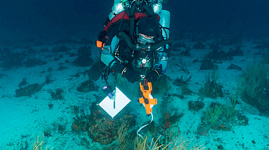 Buzo investigando en el fondo marino