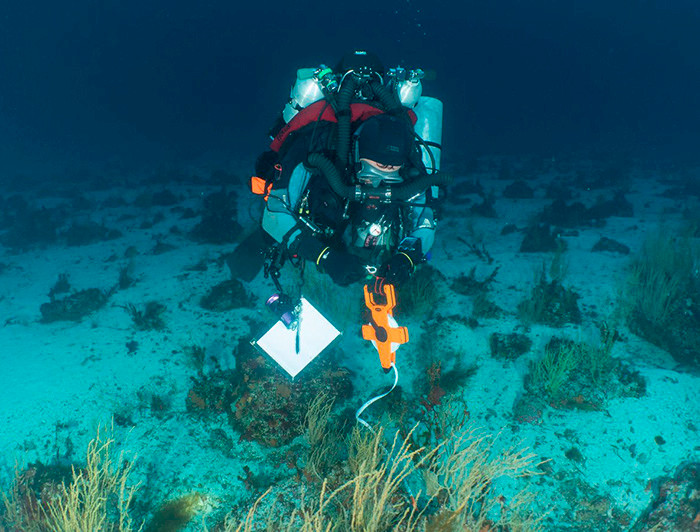 Buzo investigando en el fondo marino