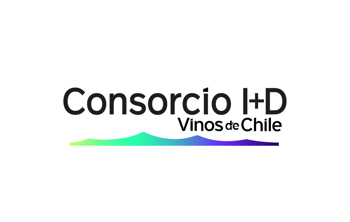 I+D Vinos de Chile S.A.