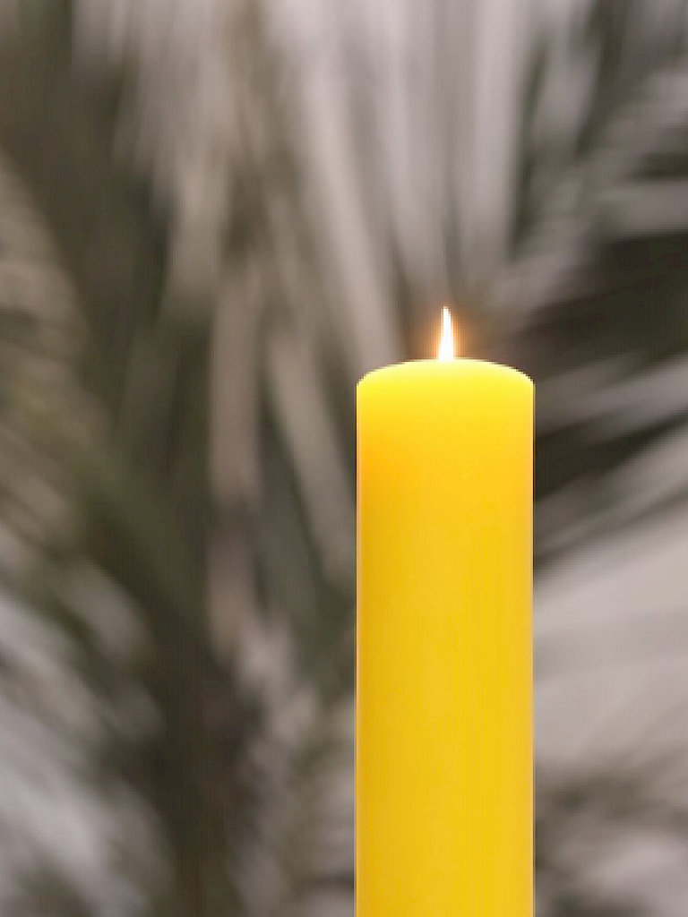 Vela