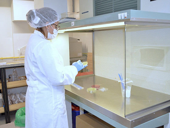 Researcher in a laboratory