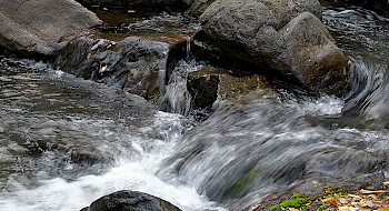 Agua corriendo de un río entre medio de unas piedras.