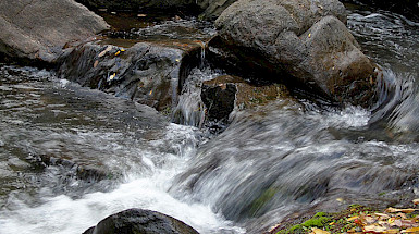 Agua corriendo de un río entre medio de unas piedras.