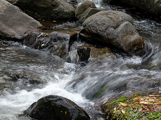 Agua corriendo de un río entre medio de unas piedras.