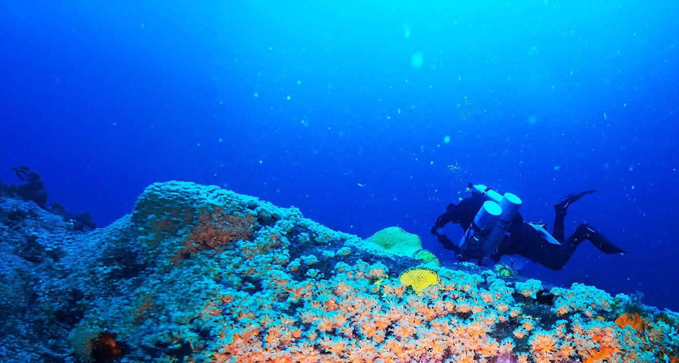 Diver investigating on Deep Sea Reefs