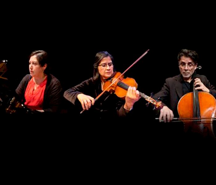Presentación Instituto de Música en el GAM