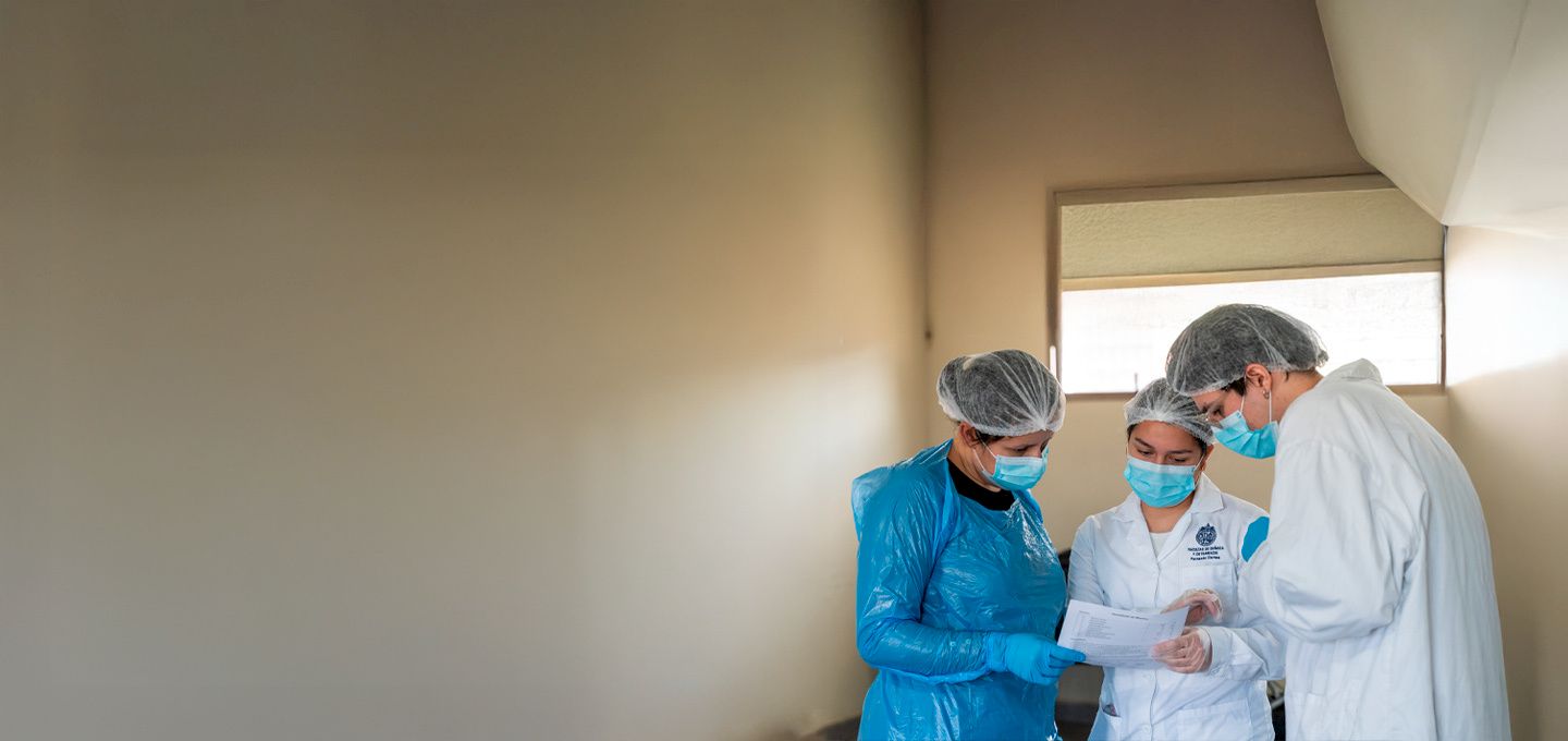 Estudiantes del área de salud participantes de Puentes UC