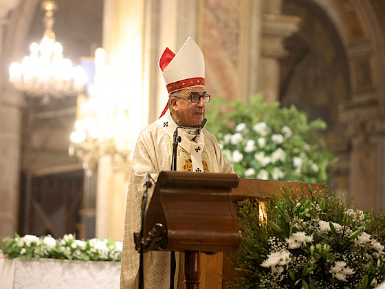 Cardenal Fernando Chomali