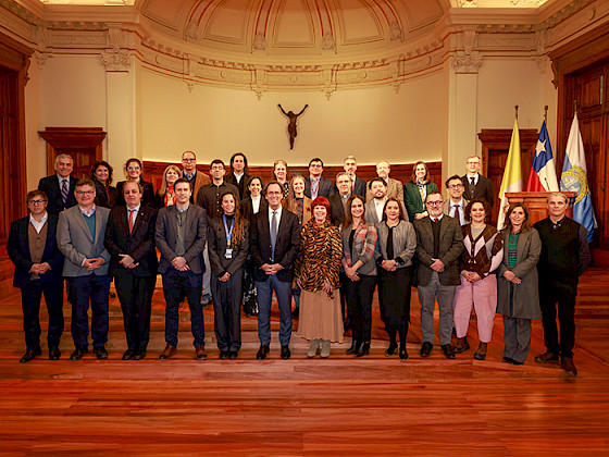 Profesores titulares 2026