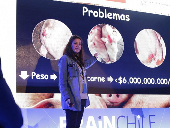Exposición de proyectos en el Programa Brain Chile