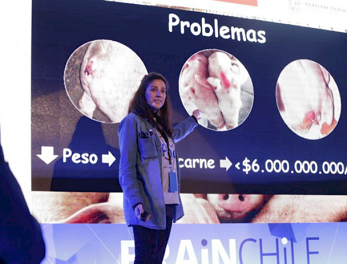 Exposición de proyectos en el Programa Brain Chile