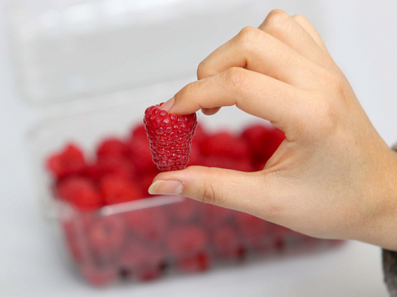 Primer plano de una mano derecha femenina tomando una frambuesa con la punta de los dedos.