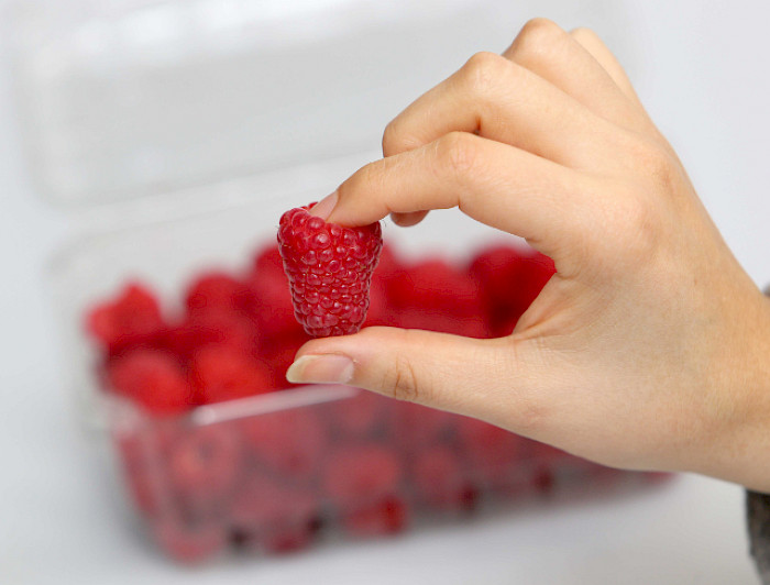 Primer plano de una mano derecha femenina tomando una frambuesa con la punta de los dedos.
