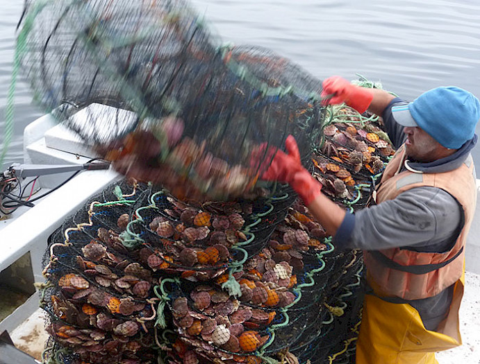 Persona recibiendo sacos de mariscos