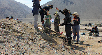 Investigación en Estación Loa UC
