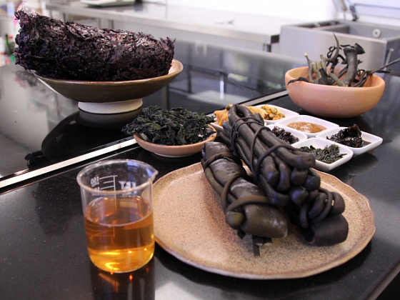 Sobre una mesa de laboratorio, distintos tipos de algas, harina funcional de camotes, e ingredientes bioactivos a partir de algas o de suero lácteo.