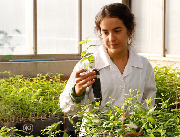 Investigadora en un vivero tomando una planta
