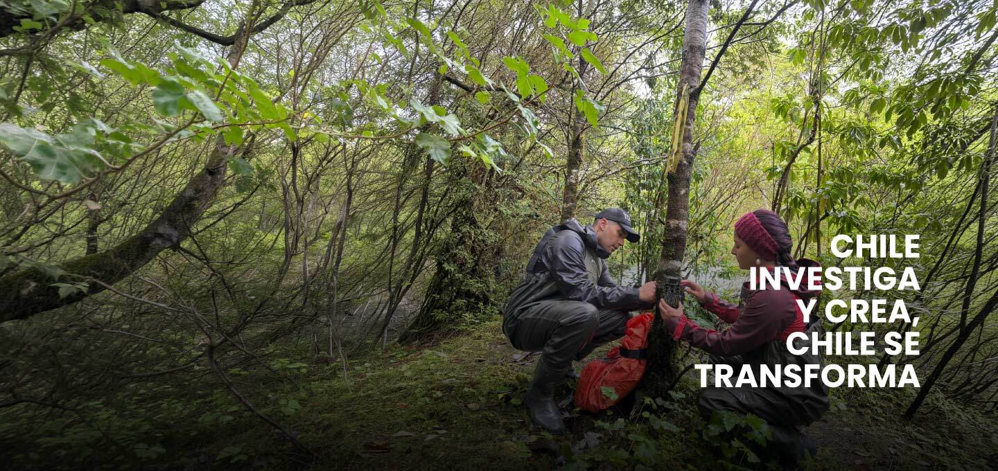 Investigadores colocando una cámara trampa