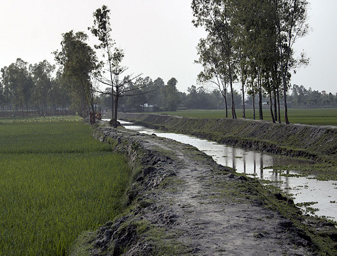 Canal de regadío en el campo