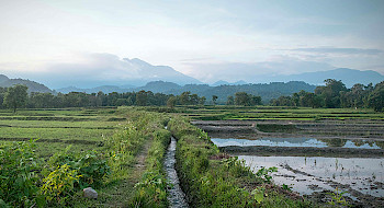 Canal de regadío en el campo