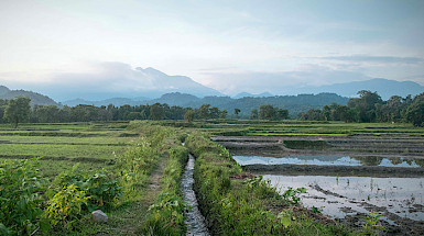 Canal de regadío en el campo