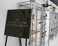 Sala Colección de flora y fauna Patricio Sánchez Reyes