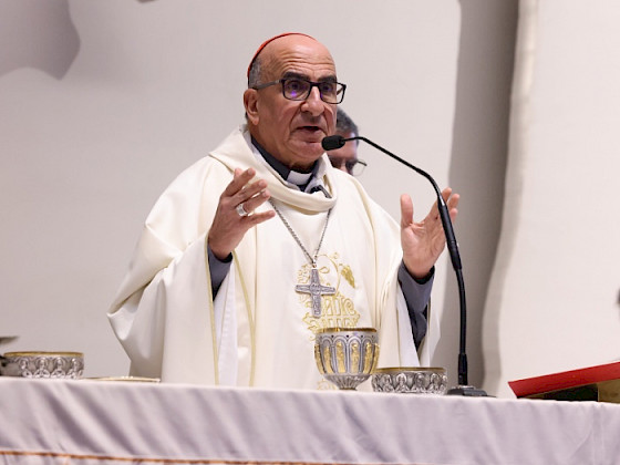 Cardenal Fernando Chomali