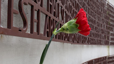 Flor roja en un memorial