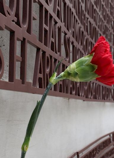 Flor roja en un memorial