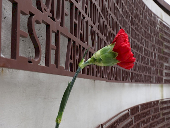 Flor roja en un memorial