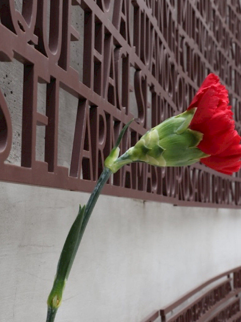 Flor roja en un memorial