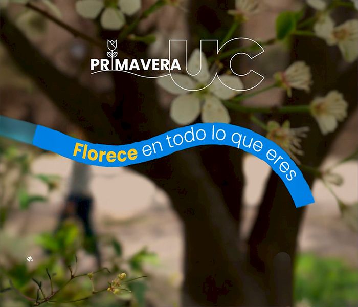 Gráfica Primavera UC