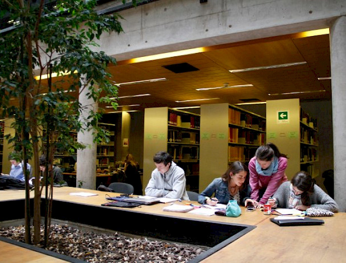 Estudiantes de pregrado en biblioteca