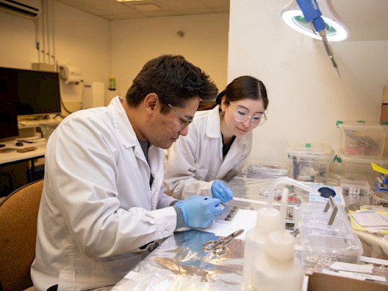 Researchers