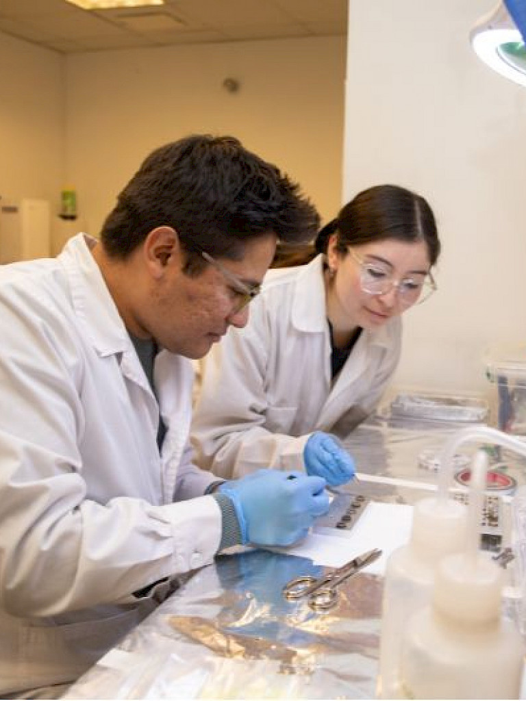 Researchers