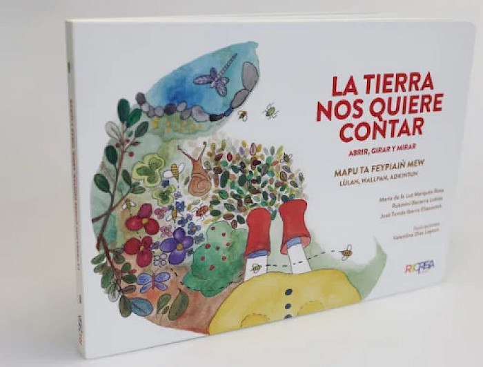 imagen correspondiente a la noticia: "UC Chile’s Villarrica Campus Releases Trilingual Children’s Book That Invites Children to Learn About Nature in Spanish, English, and Mapudungun"