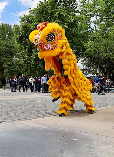 Fiesta de las culturas