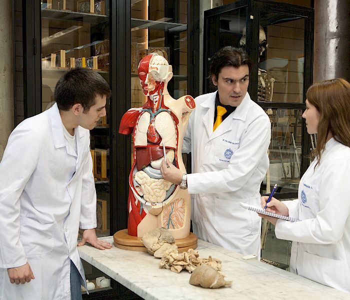 Estudiantes de la Facultad de Medicina.