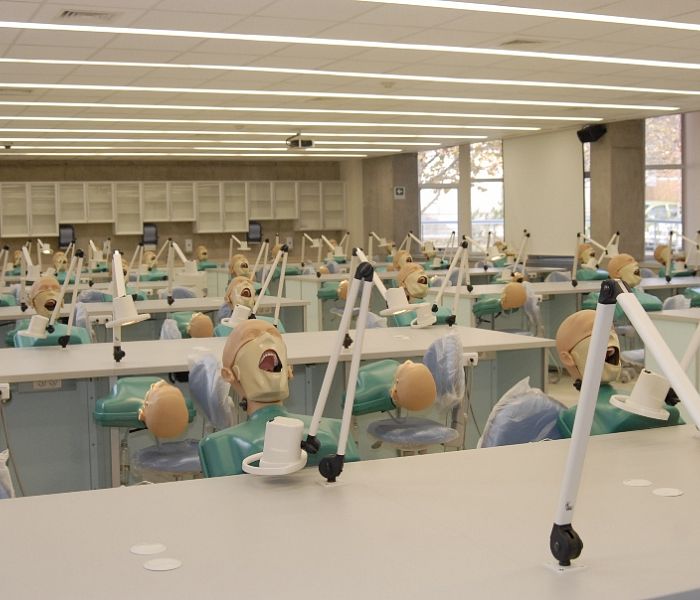Los alumnos de la Escuela de Odontología comienzan aprendiendo con modelos a escala humana. - Foto César Cortés