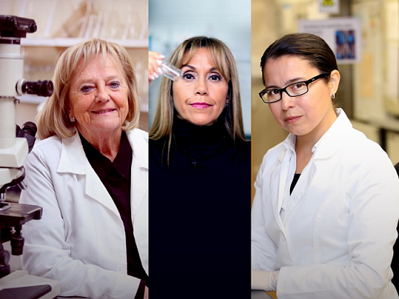 Fotografía de las tres académicas que presenta la nota.