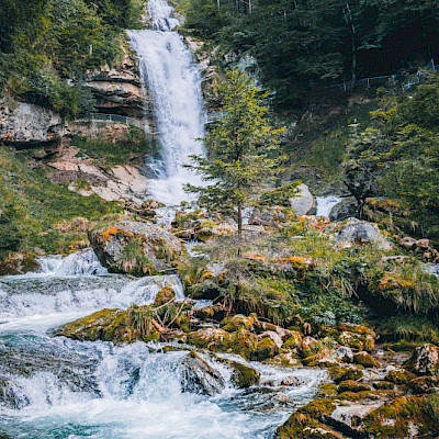 La investigadora del Centro de Cambio Global UC, Aurora Gaxiola, durante su presentación en el seminario.