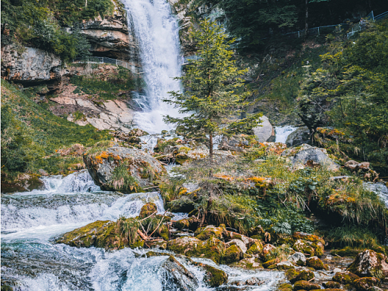 La investigadora del Centro de Cambio Global UC, Aurora Gaxiola, durante su presentación en el seminario.